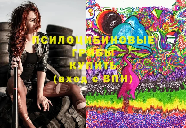 PSILOCYBIN Абинск